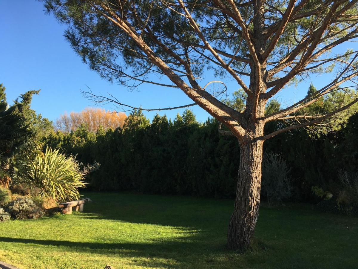 Mas De La Butte Blanche Bed and Breakfast Orgon Εξωτερικό φωτογραφία