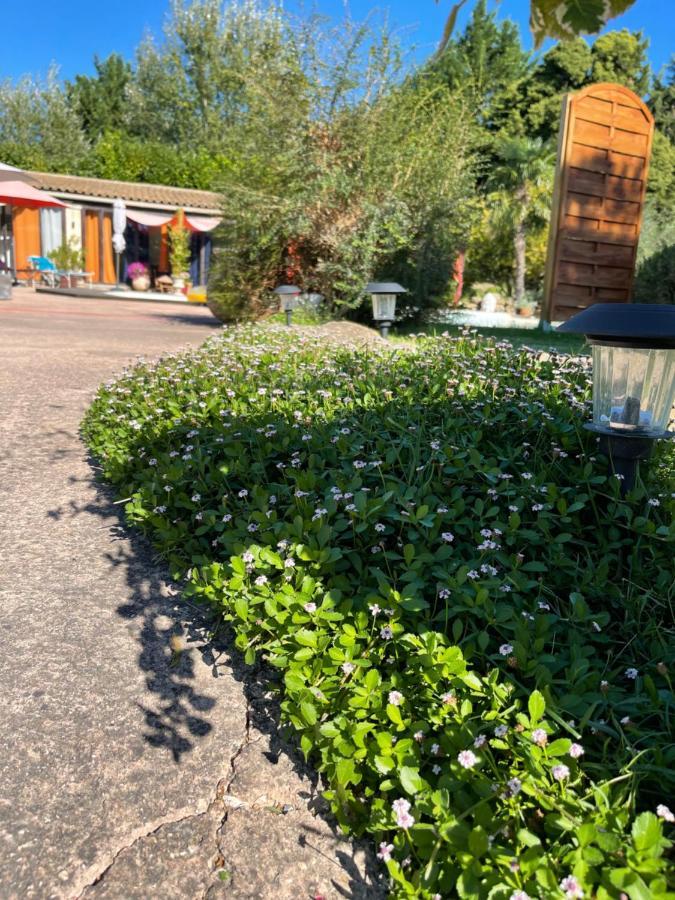 Mas De La Butte Blanche Bed and Breakfast Orgon Εξωτερικό φωτογραφία